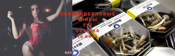 Альфа ПВП Сосновка
