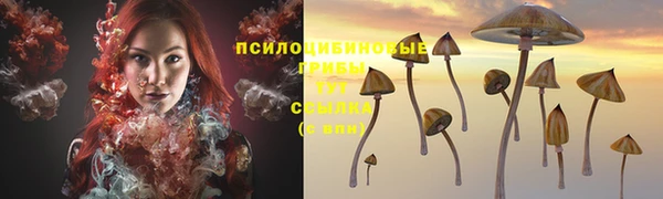 прущая мука Сосновоборск