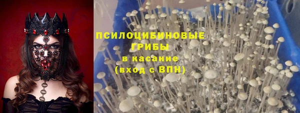 прущая мука Сосновоборск